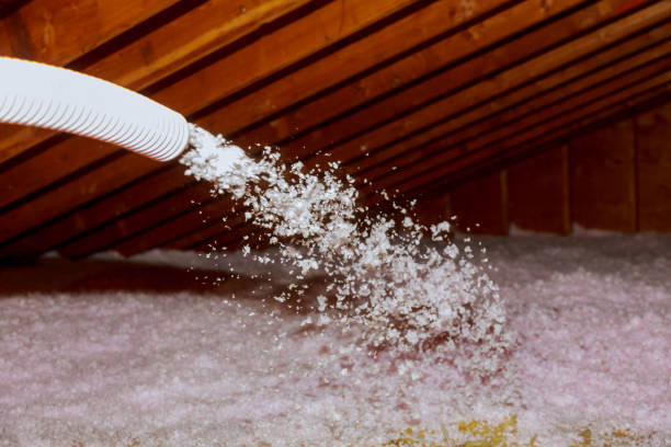 Best Insulation Inspection Services  in Machias, WA