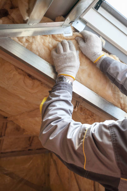 Best Insulation Contractors for Homes  in Machias, WA