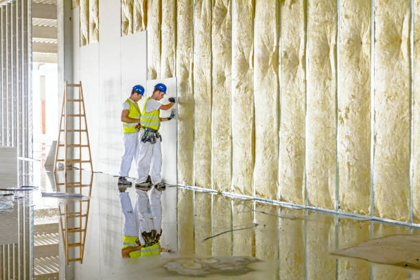 Best Insulation Repair Services  in Machias, WA